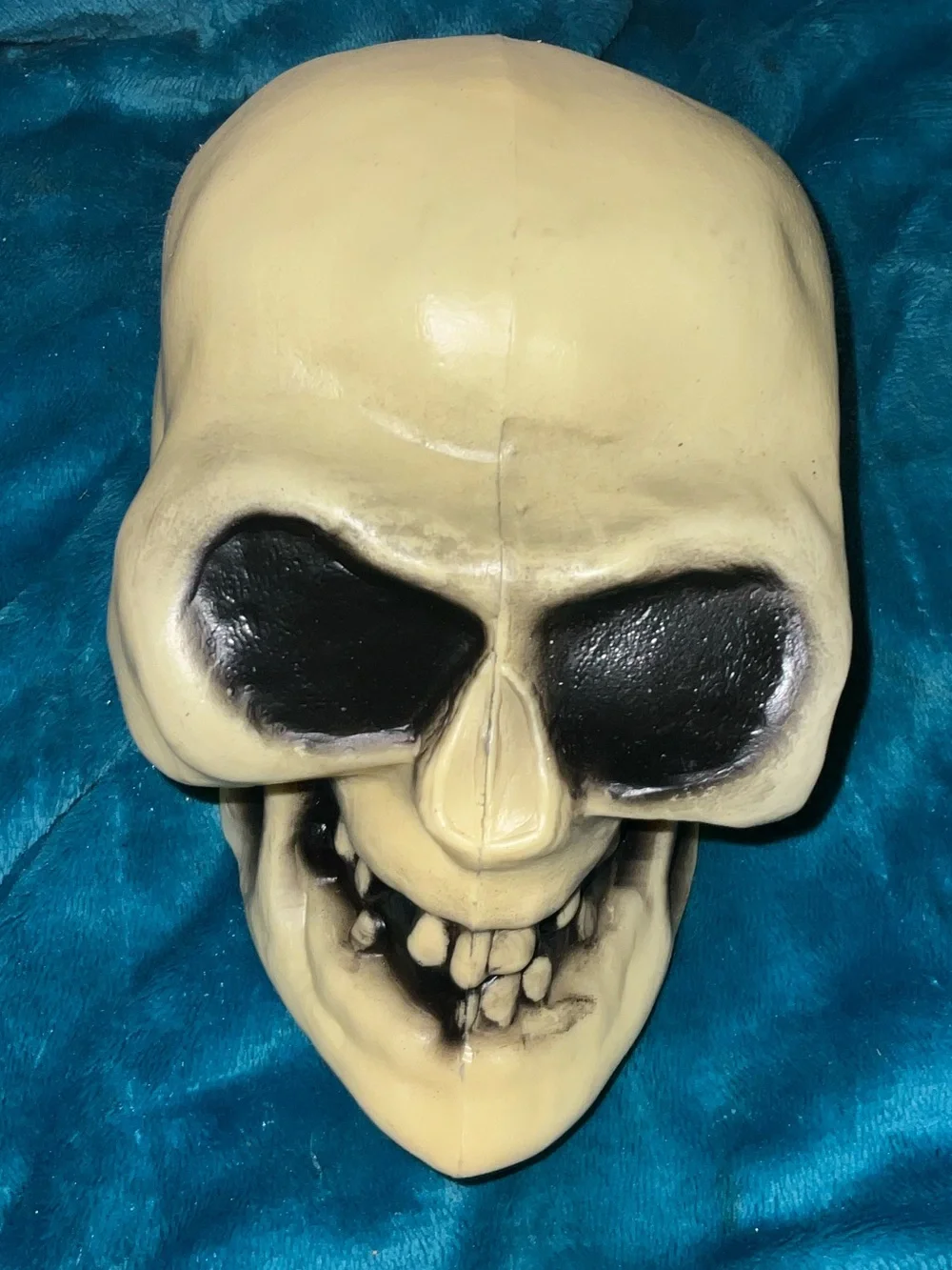 Skull HEAD  Decor new old stock